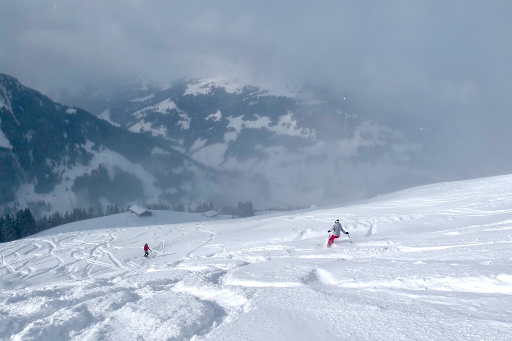 img 4219 52648552486 o