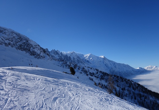 2015 - Sortie Grands Montets