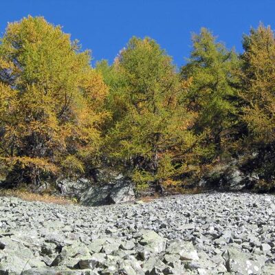 2007 - Couleurs d'automne